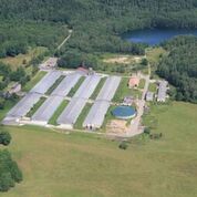 AQUIP Active NS Referens 2