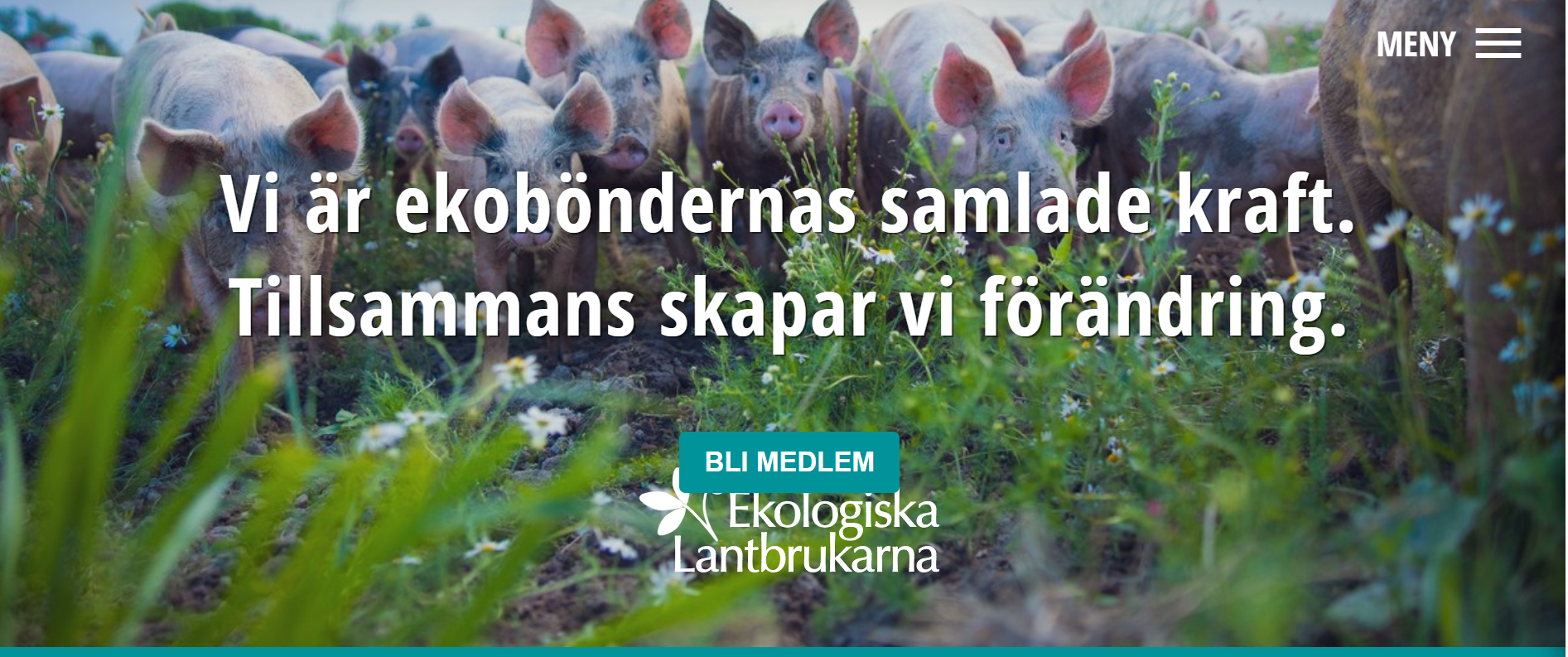 https://www.ekolantbruk.se/ 